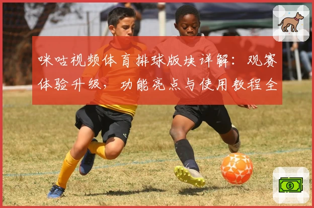 咪咕视频体育排球版块详解：观赛体验升级，功能亮点与使用教程全解析